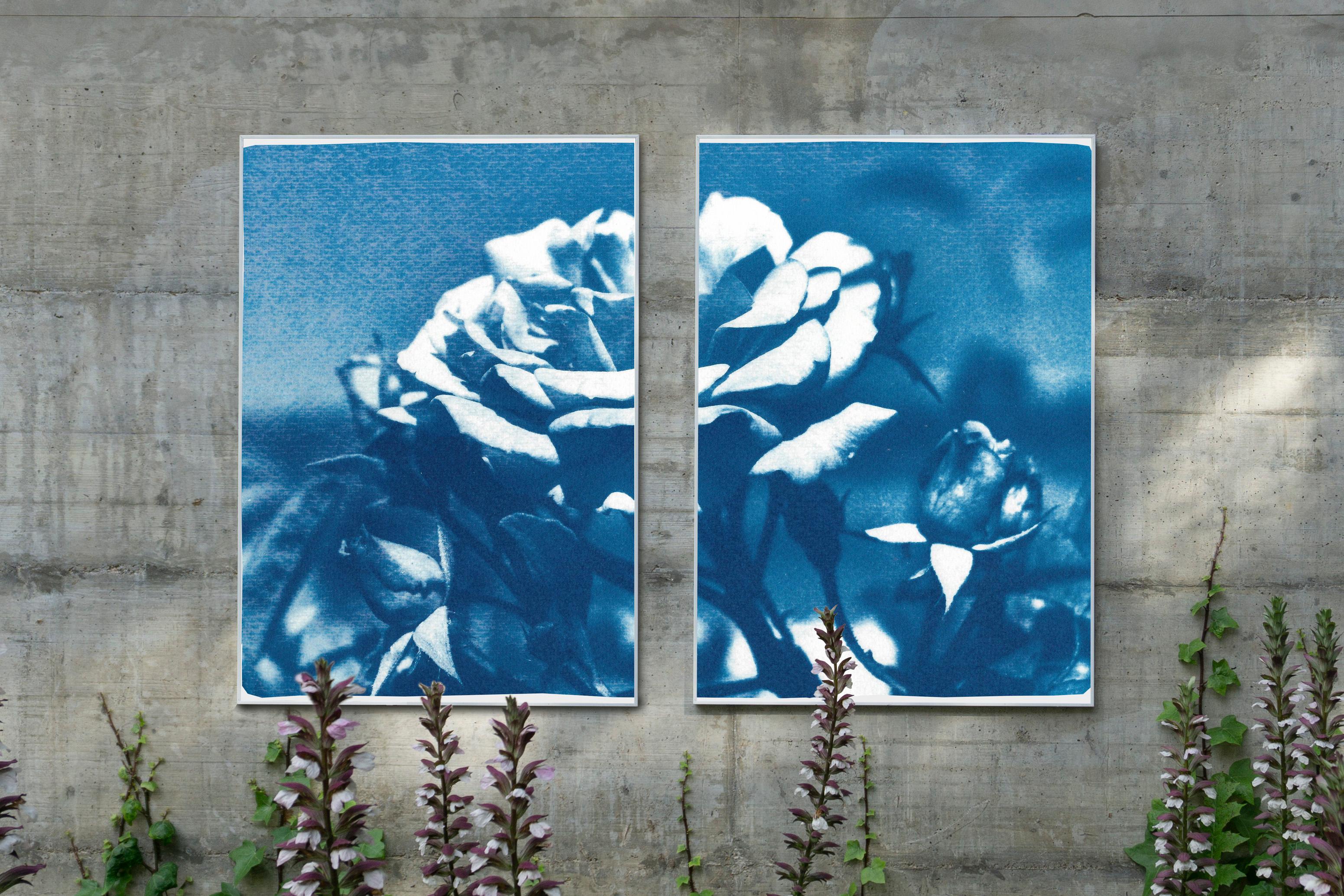 Wild Blue Flowers, Large Still Life Diptych, Cyanotype Print on Watercolor Paper 1
