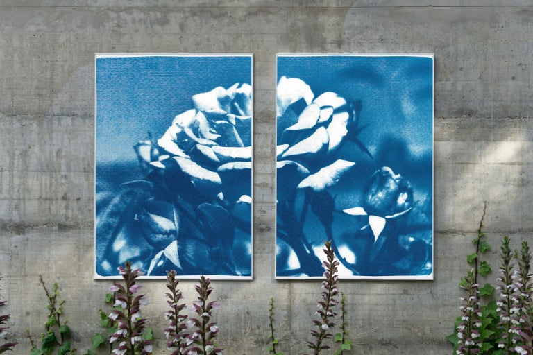 Wild Blue Flowers, Large Still Life Diptych, Cyanotype Print on Watercolor Paper For Sale 2
