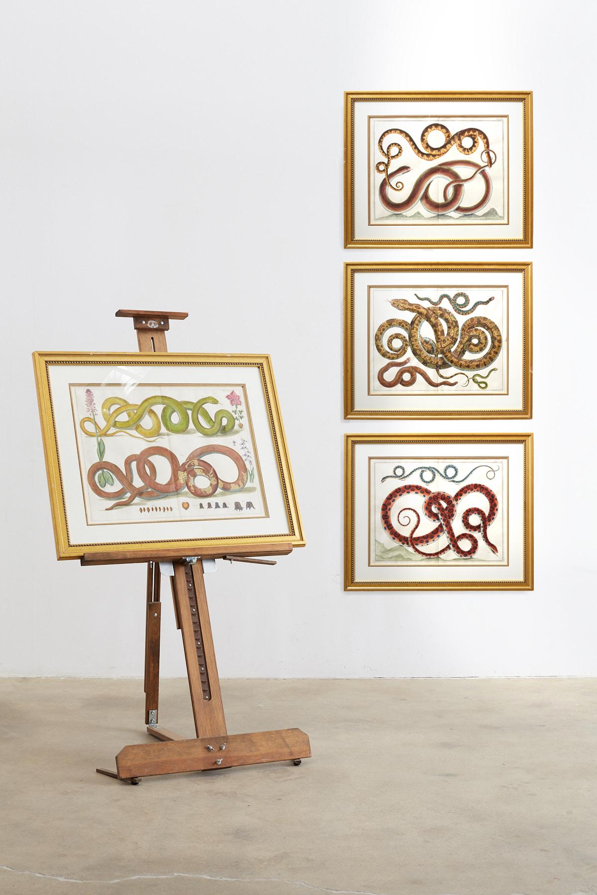 Set of Four Hand-Colored Snake Prints - Beige Animal Print by Albertus Seba