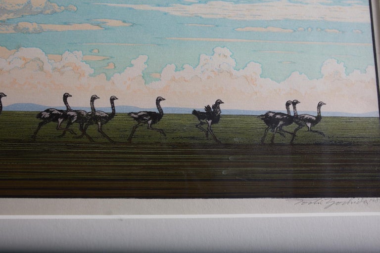 Ostrich Landscape Framed Wood Block Print For Sale 9