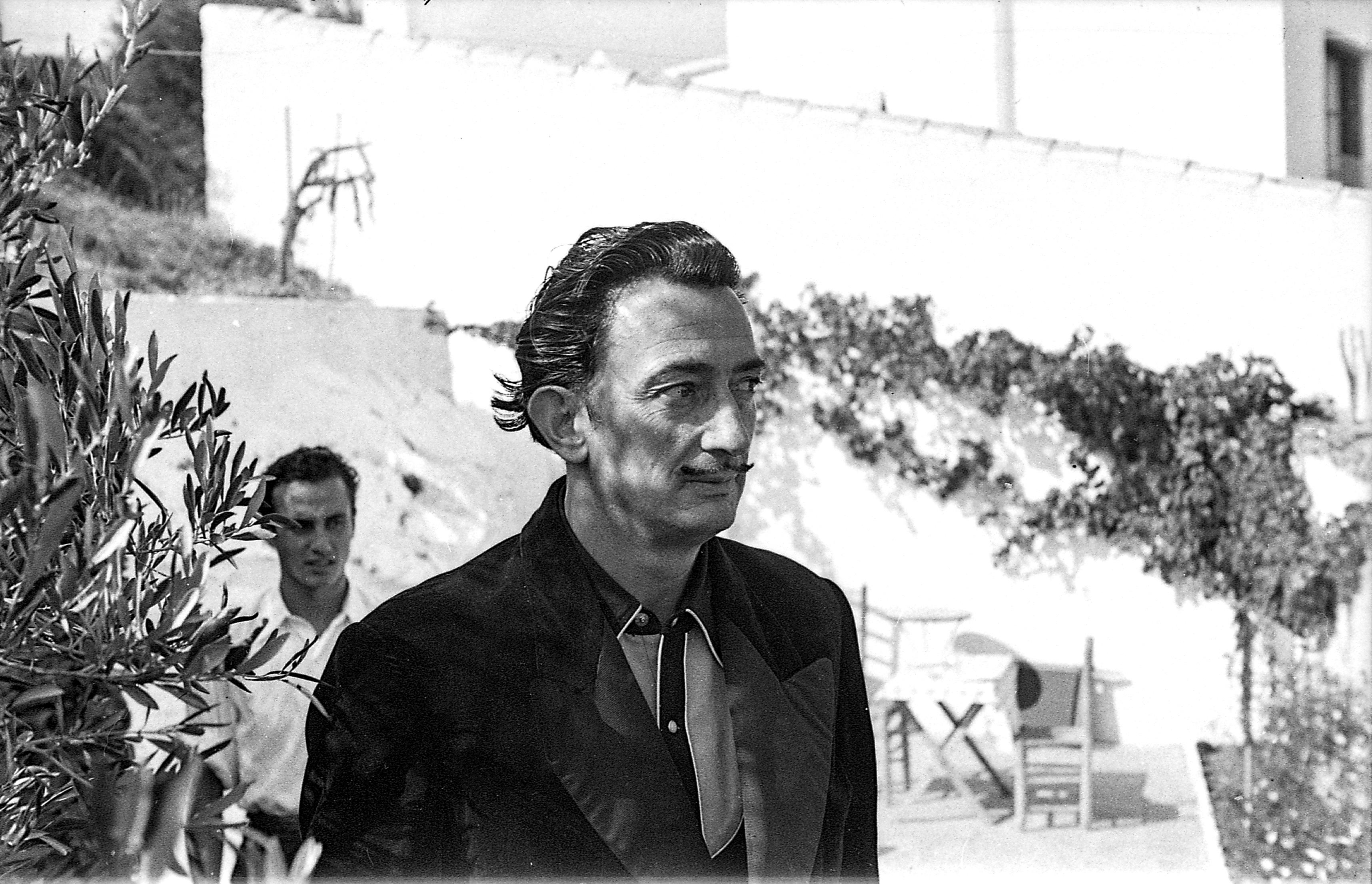 Salvador Dali 8   47 in x 70 in (Black and White)