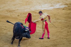 El Juli, Torero 1     47 in X 70 in