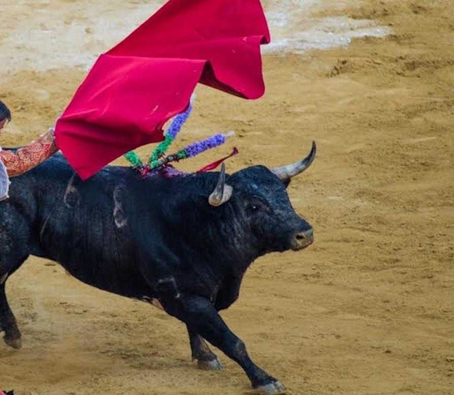 El Juli, Torero 2    47 in X 70 in - Contemporary Photograph by Ignacio Heras Castan