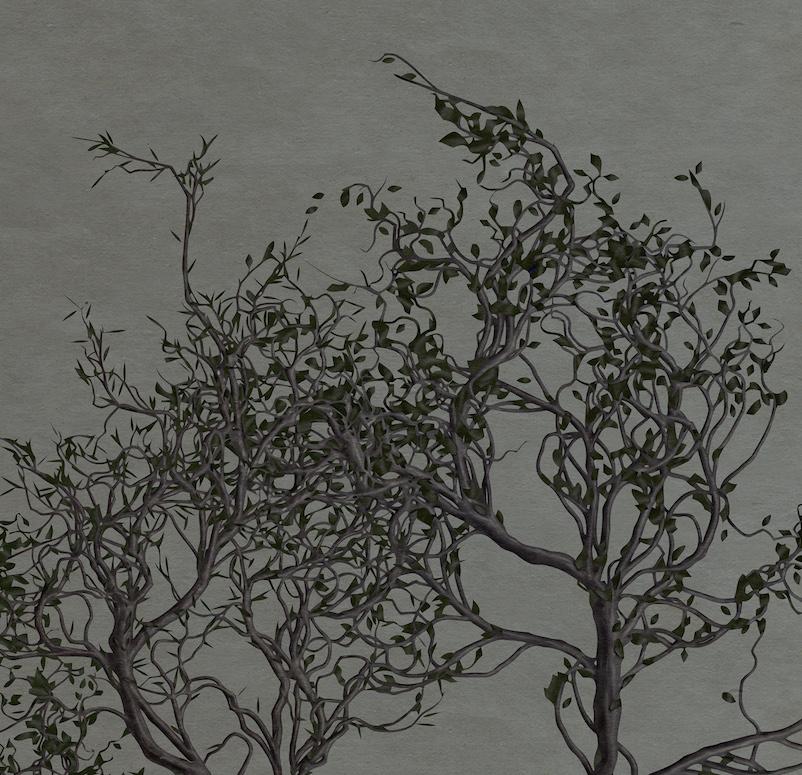 Chemisier à fleurs de cerisier 70 po. x 47 po. - Photograph de Jorge Zarco