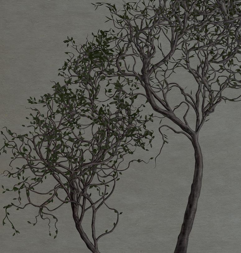 Chemisier à fleurs de cerisier 70 po. x 47 po. - Contemporain Photograph par Jorge Zarco