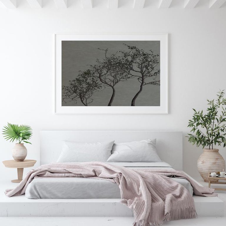 Cherry Blossom 70 in x 47 in - Gray Landscape Photograph by Jorge Zarco
