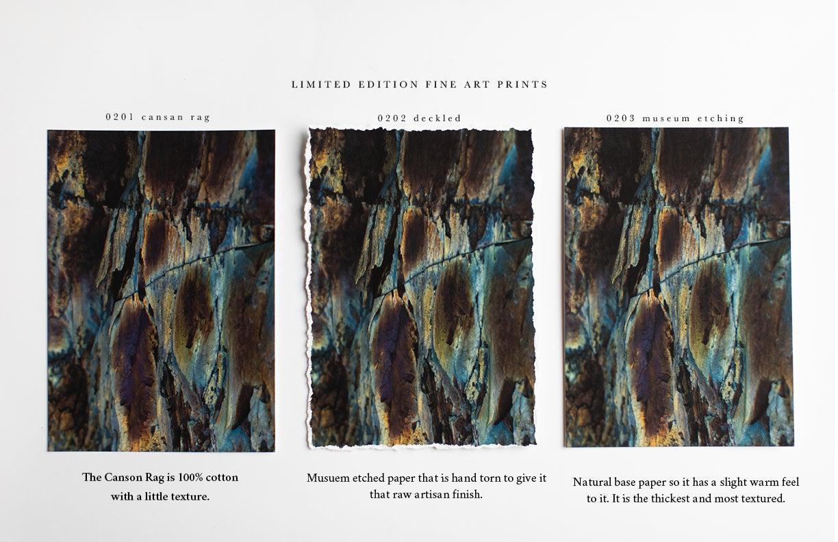 Strand-Landschaftsfotografie, Meeresdruck, Farbfotografie-Wowtide Swash 022 (Zeitgenössisch), Print, von Addison Jones
