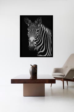 Animals, Wild Animals, Zebra, Zebra Photography, Zebra Prints-Harold