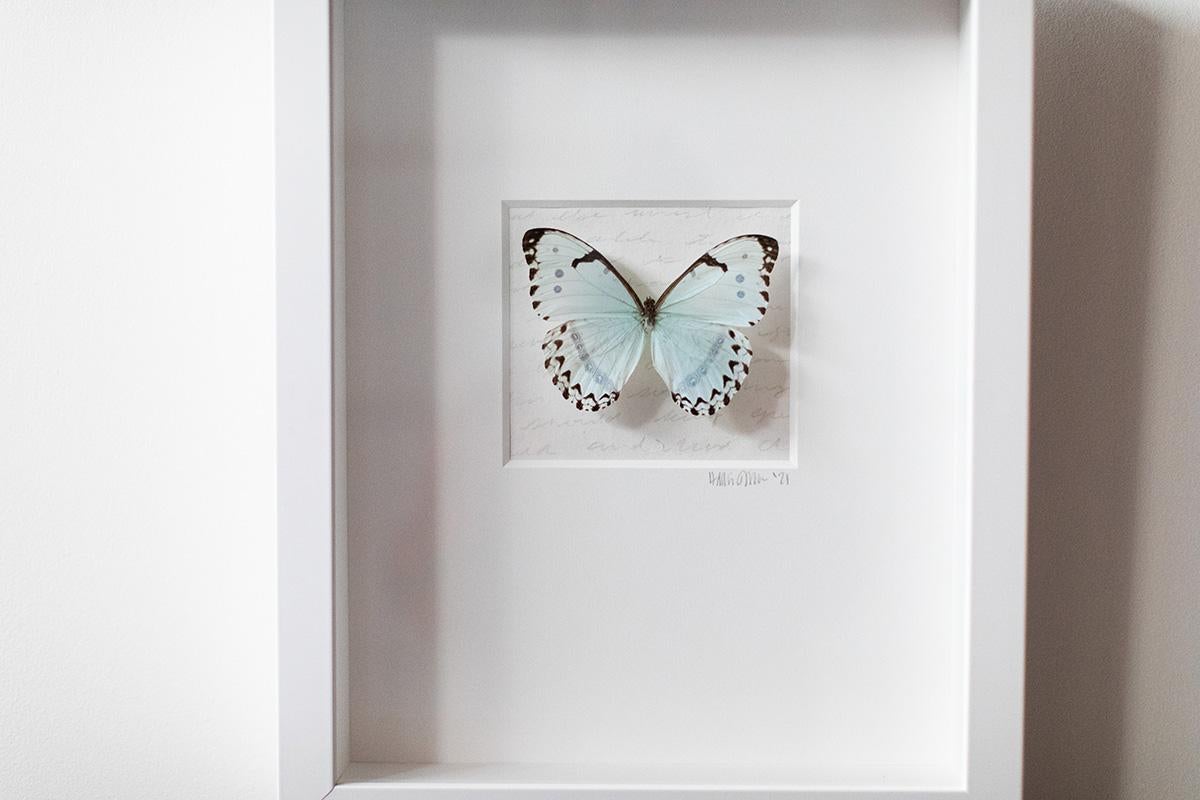  Butterfly Wall Art, Butterfly Artwork, Mixed Media Art-No. 1269 Soft+Subtle - Contemporary Painting by Addison Jones