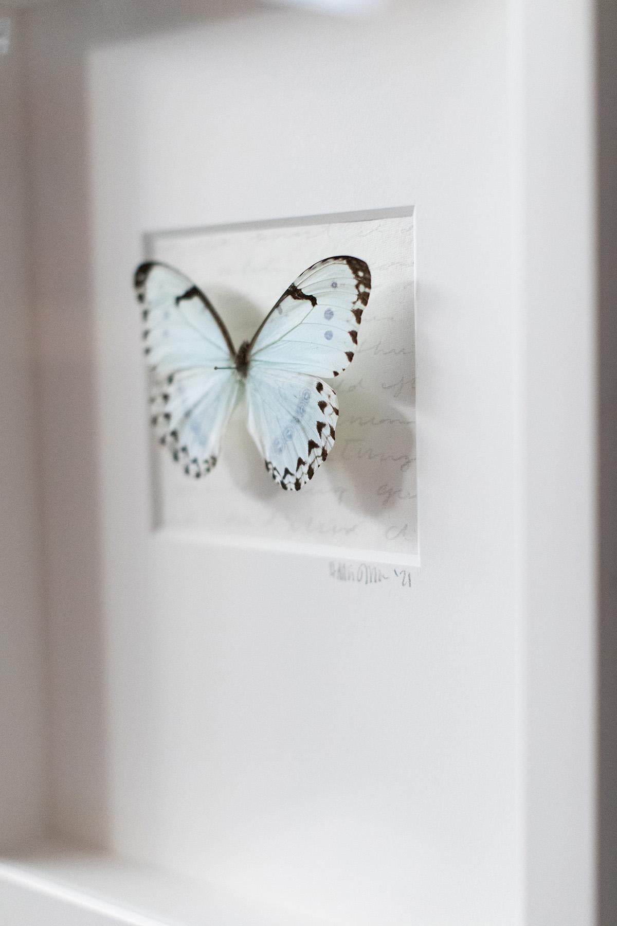  Butterfly Wall Art, Butterfly Artwork, Mixed Media Art-No. 1269 Soft+Subtle 1
