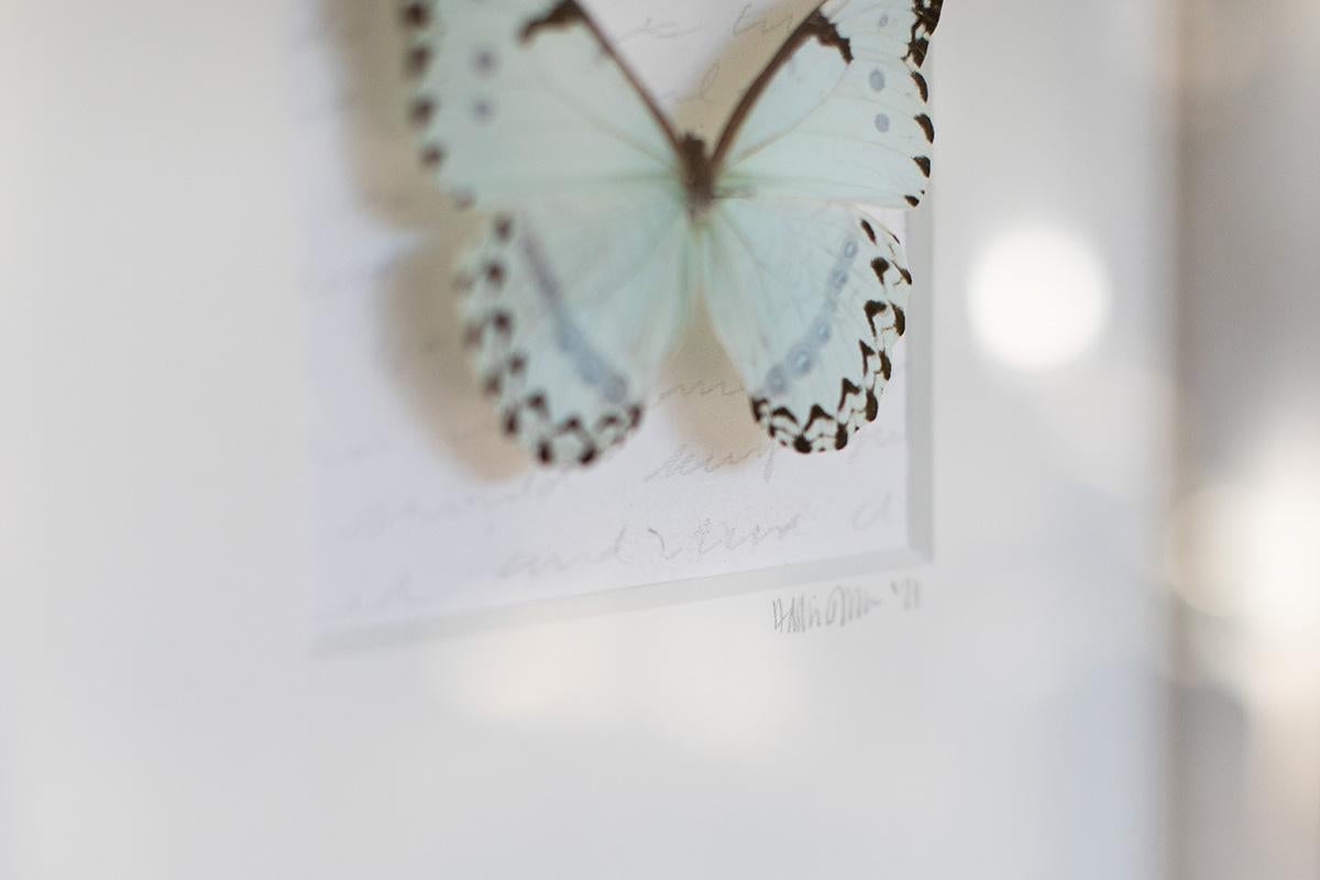  Butterfly Wall Art, Butterfly Artwork, Mixed Media Art-No. 1269 Soft+Subtle 2