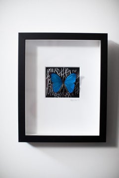 Butterfly Wall Decor, Butterfly Art, Mixed Media Art-No.1268 Cobalt+Coal