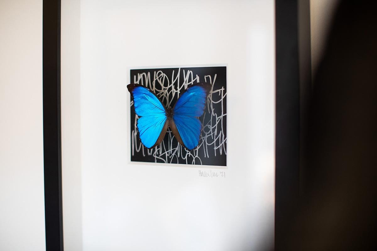 Schmetterlings-Wandschmuck, Schmetterlingskunst, Mixed Media Art-No.1268 Kobalt+Coal