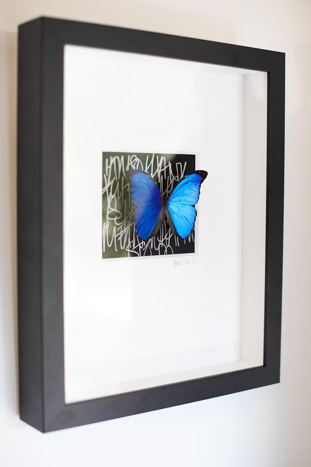 Butterfly Wall Decor, Butterfly Art, Mixed Media Art-No.1268 Cobalt+Coal For Sale 2
