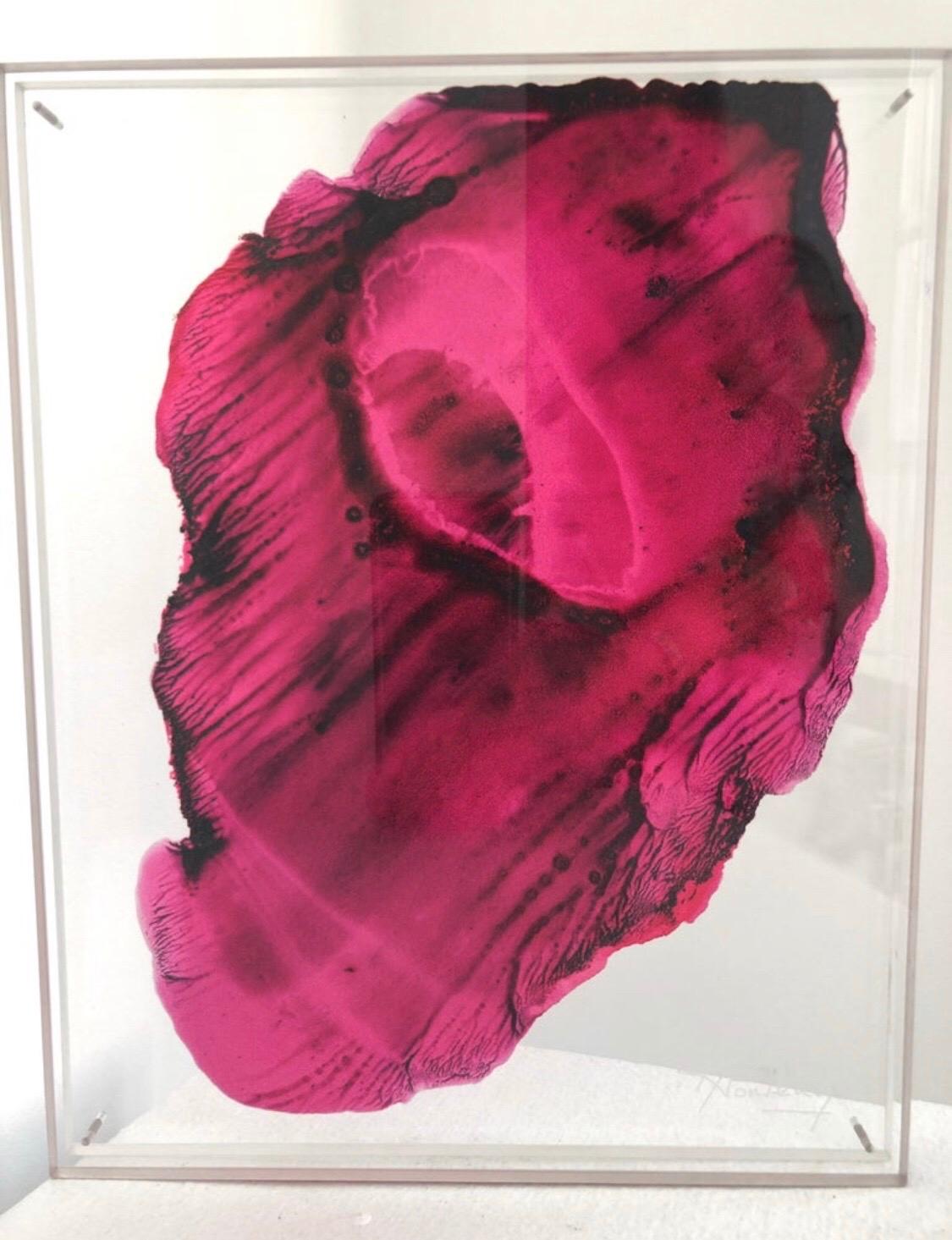 Nathalie Fontenoy Artista francese 