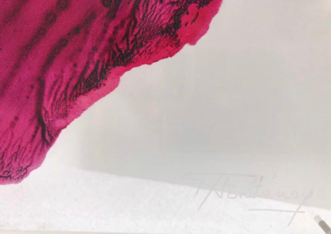 Nathalie Fontenoy Artista francese 