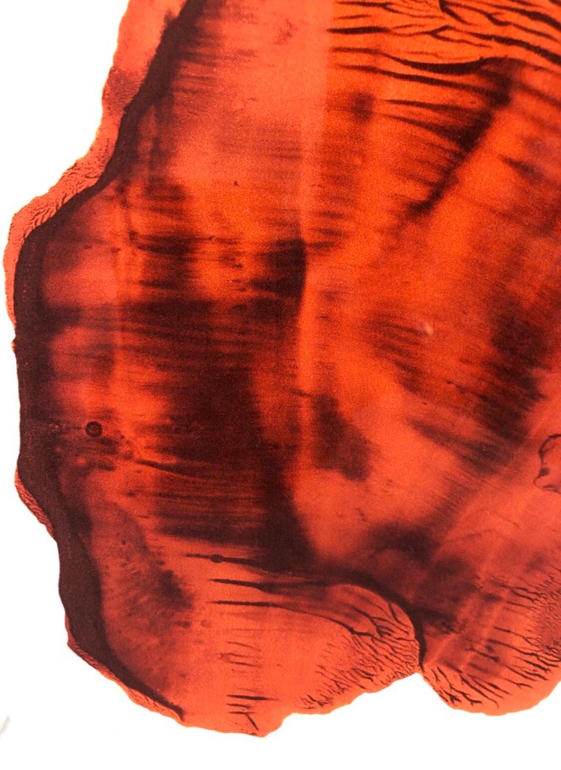 Pièce unique en plexiglas «ingular Portrait » de l'artiste française Nathalie Fontenoy en vente 1