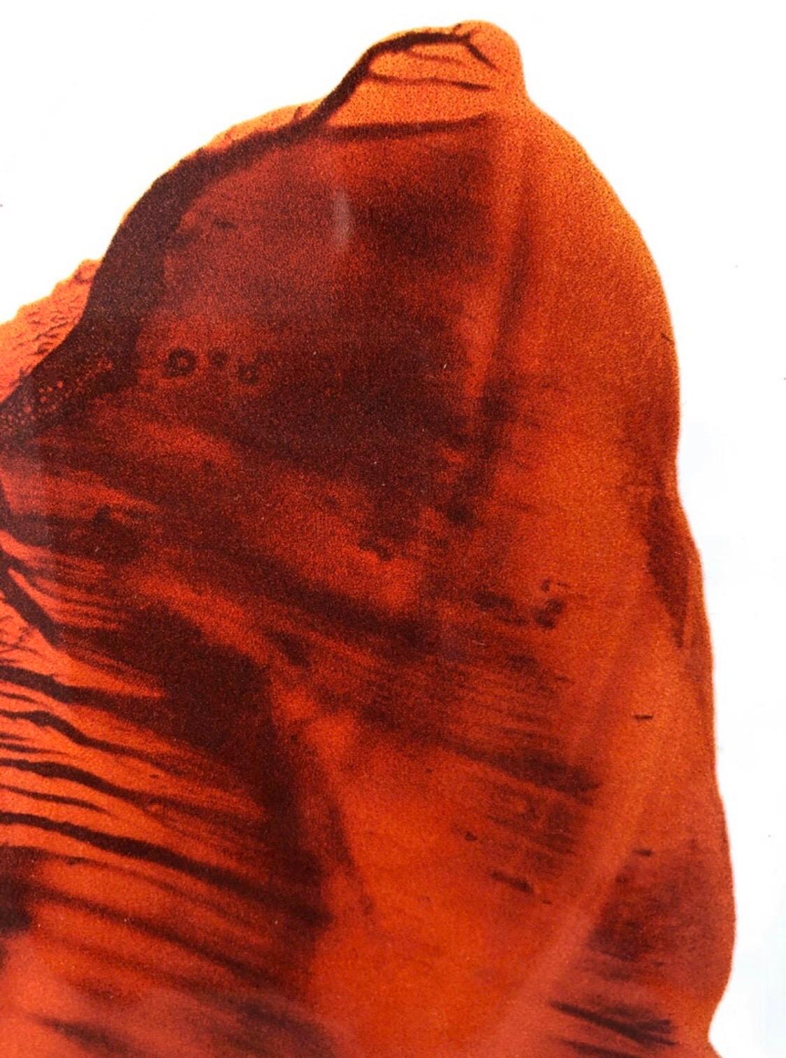 Pièce unique en plexiglas «ingular Portrait » de l'artiste française Nathalie Fontenoy en vente 3