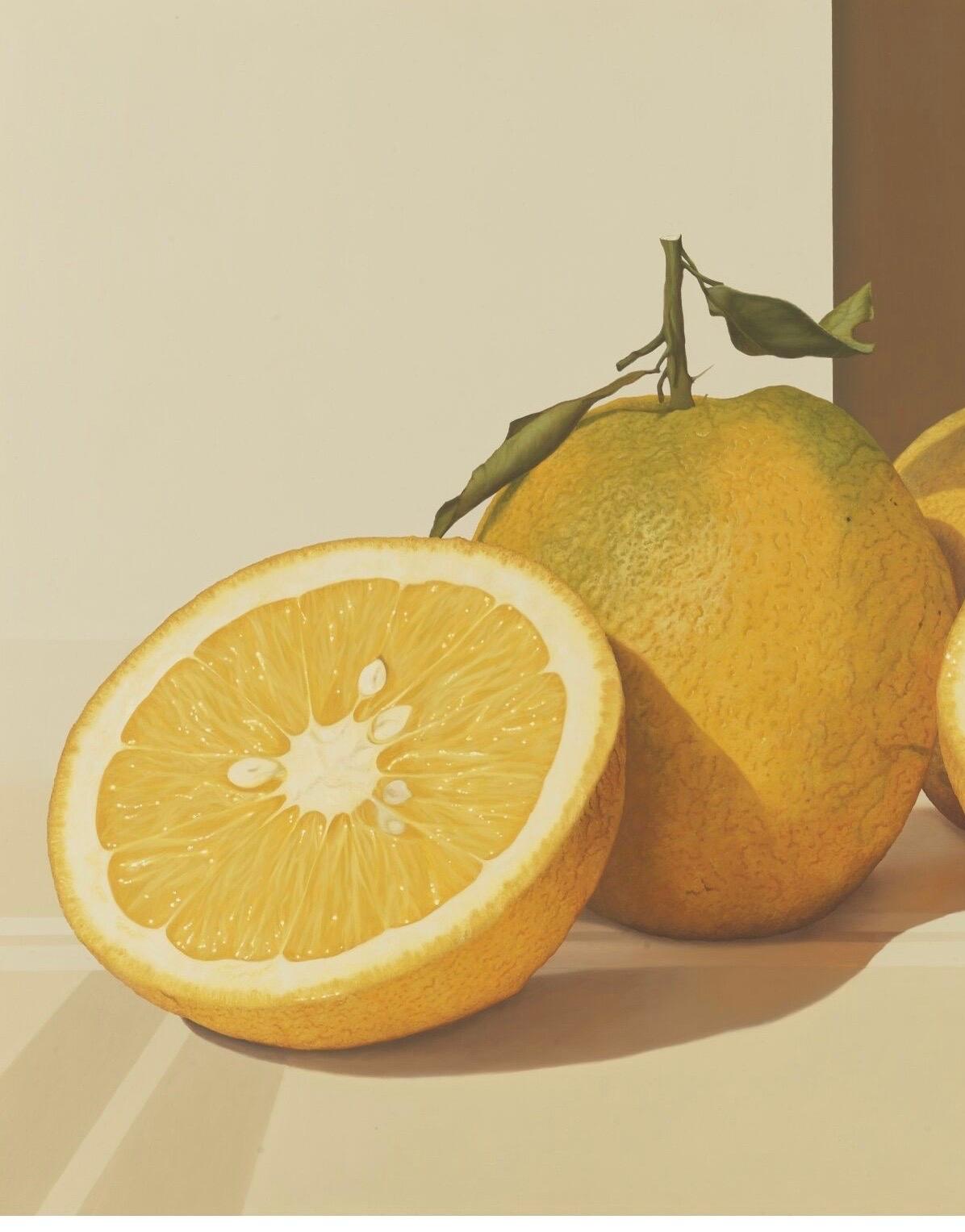 still life with oranges ii