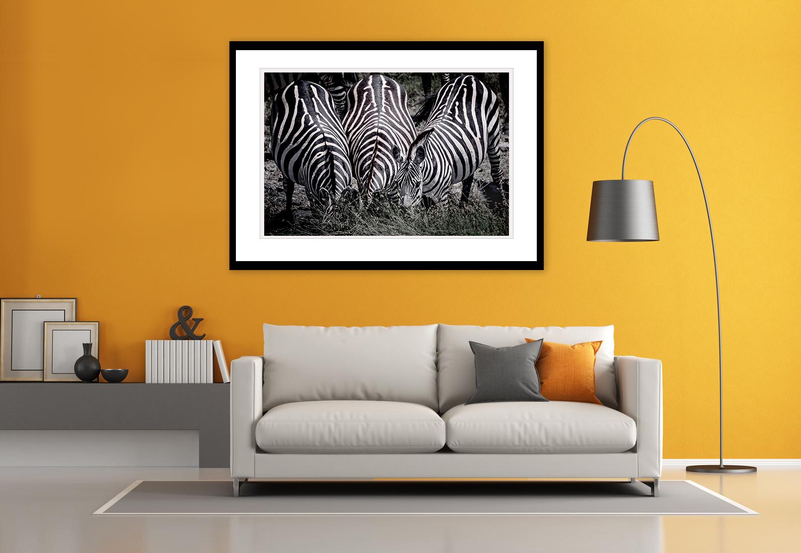 The 3 Stripe-eteers (Limited Edition of 10) - Animal Photography - Black Color Photograph by Viet Chu