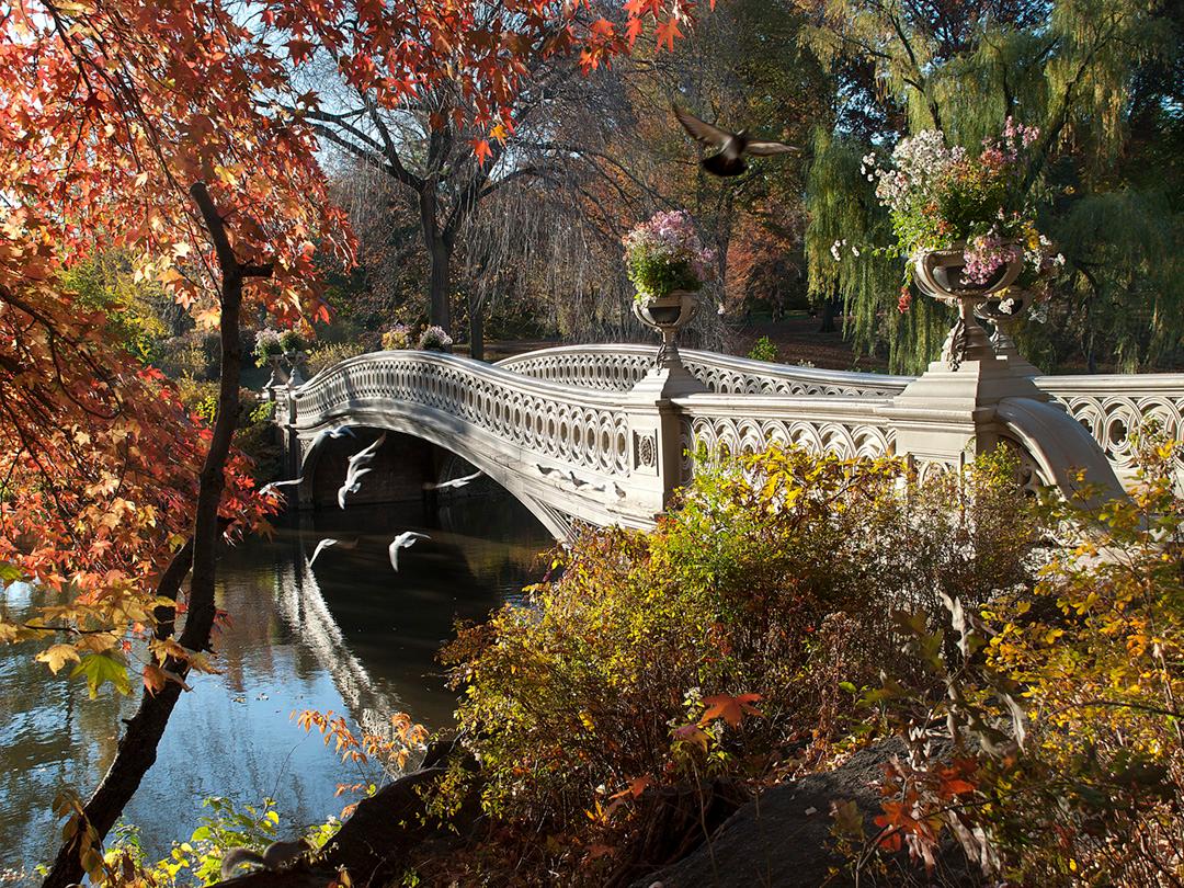 This image captured by New York photographer Christopher Petsos in 2014, featuring The Bow Bridge (cast iron bridge), located in Central Park, New York City. The photograph demonstrates the beauty of New York City in the Fall, when the humidity of