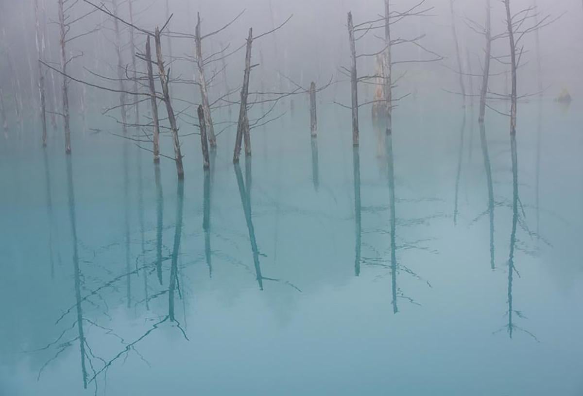 Dorte Verner Landscape Photograph - Blue Pond - Limited Editions of 15 - Nature Photography