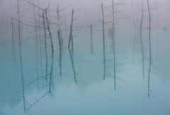 Estanque Azul - Ediciones Limitadas de 15 - Fotografía de Naturaleza