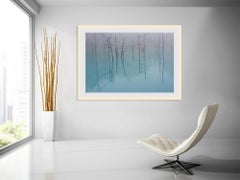 Étang bleu - Éditions limitées à 15 exemplaires - Photographie de nature