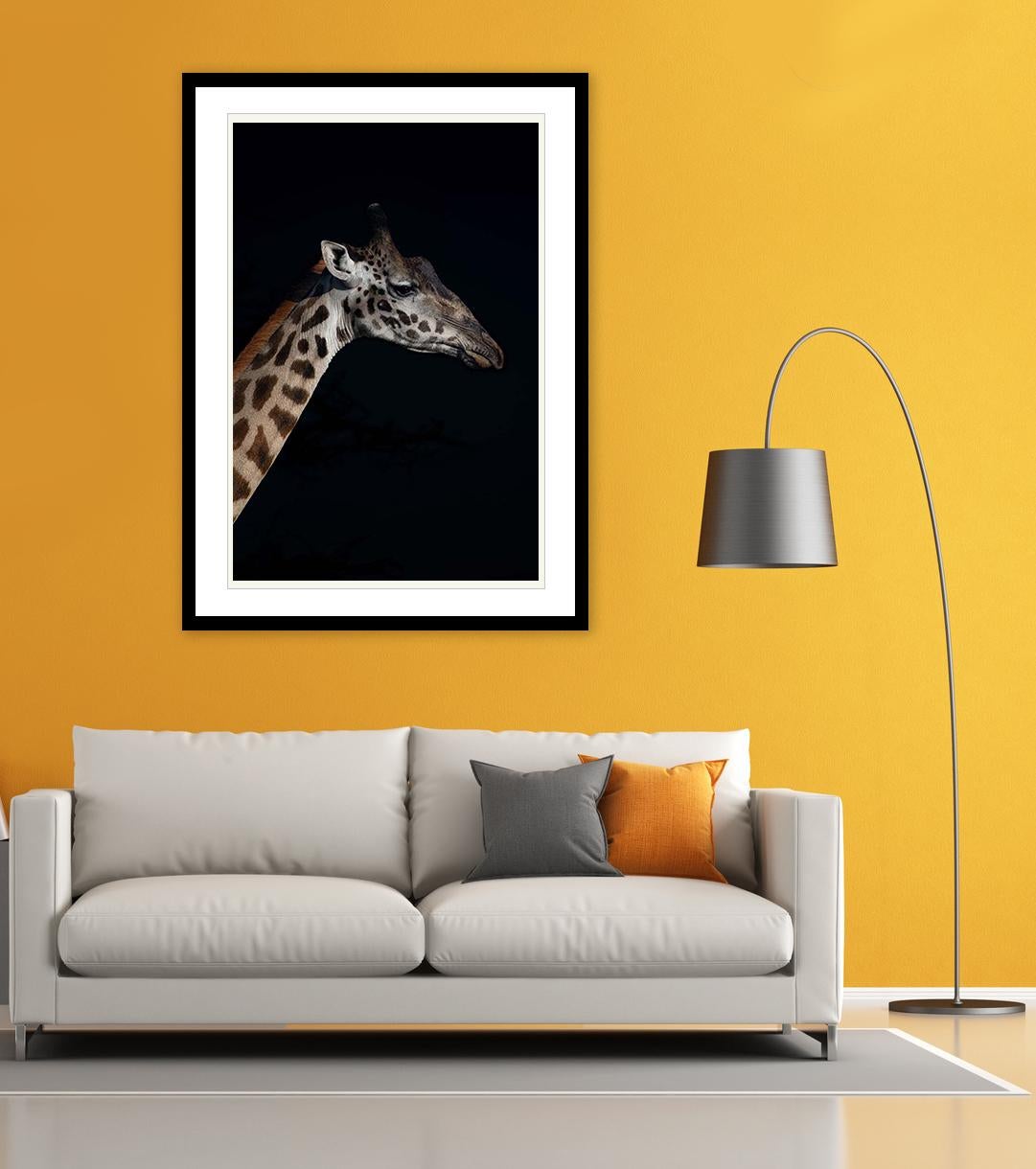 Profil eines Giraffens ( Limitierte Auflage von 25 Stück) – Tierfotografie (Zeitgenössisch), Photograph, von Viet Chu