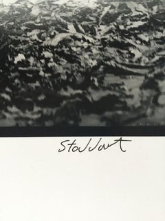 Tilda Swinton (Limited Edition of 25), 30x40 In - Celebrity Photography