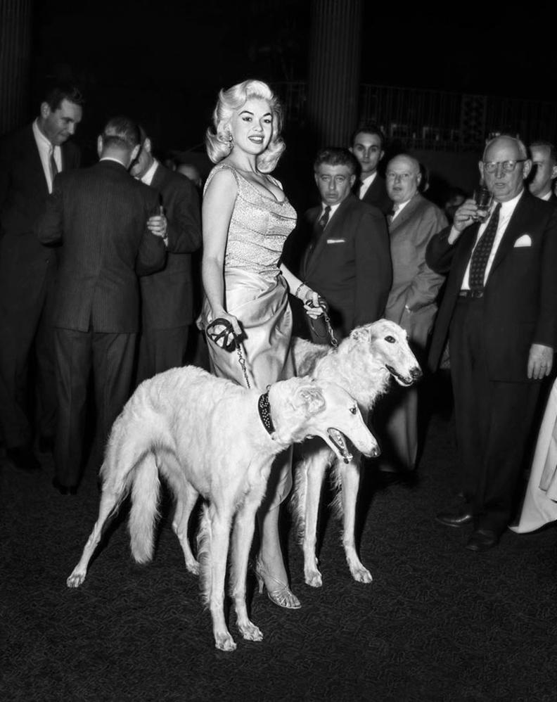 Barry Kramer Black and White Photograph - Jayne Mansfield with Seagrams Dogs (Limited Edition of 25, No 5-10) - Celebrity