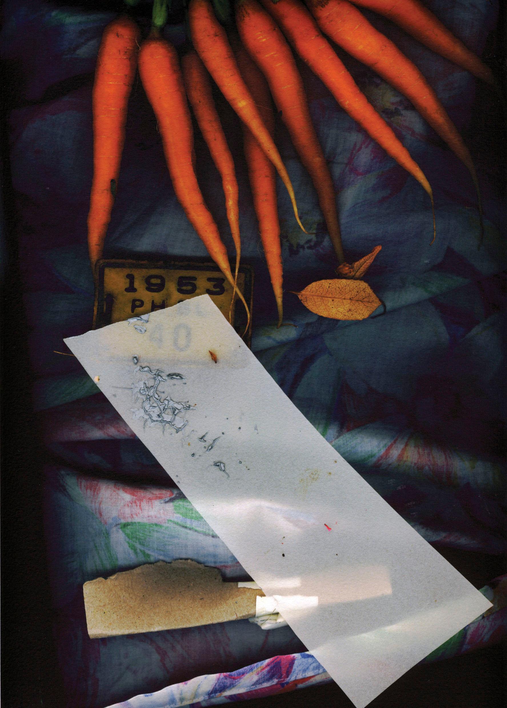 Darryl Curran Still-Life Photograph - Carrotid Scan, 1995