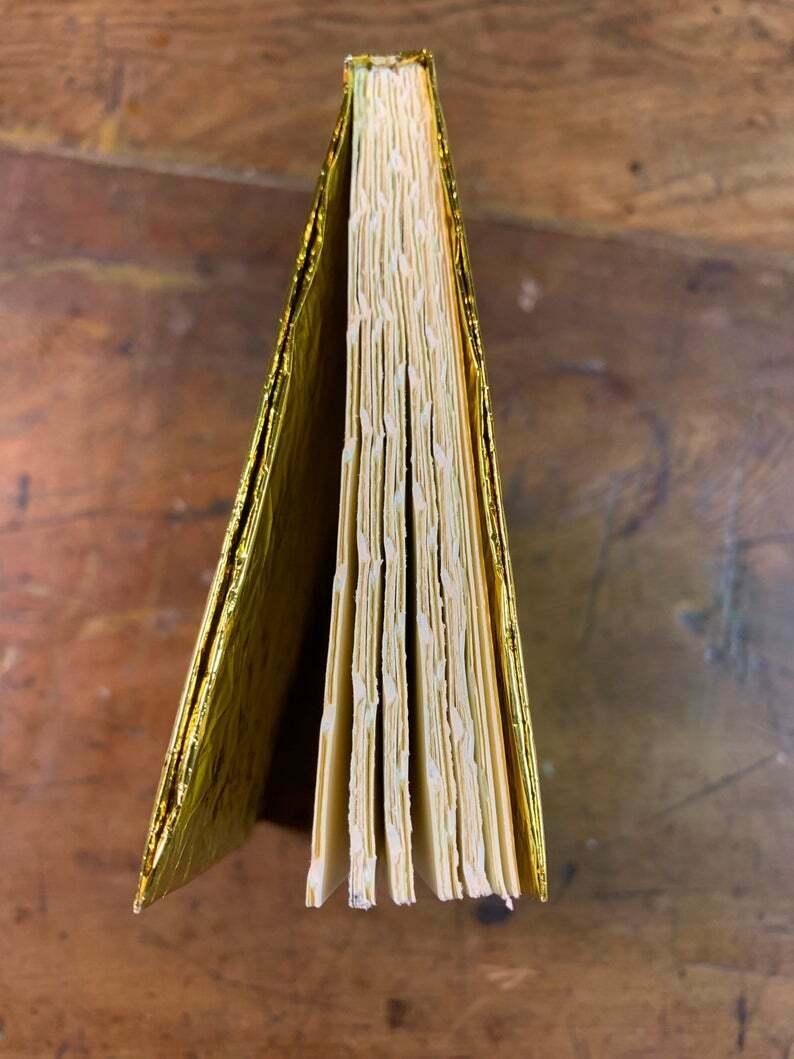 Ai Weiwei - Umanità - Libro d'artista - Edizione limitata di 200 copie firmate e numerate in vendita 1