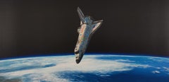 Lattina, Josh Keyes, Stampa street art contemporanea