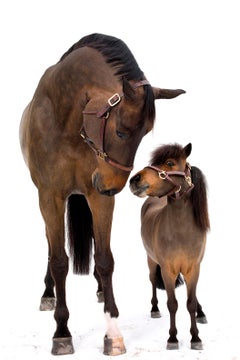Athos and Gambler, 2015, Fine Art Photography, Print and Framed, Signed