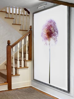 Botanical 1, Fine Art Photography, Print Only, Signed