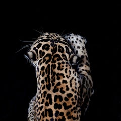 Aztec, Fine Art Photography, Facemounted in Plexiglass, Signed