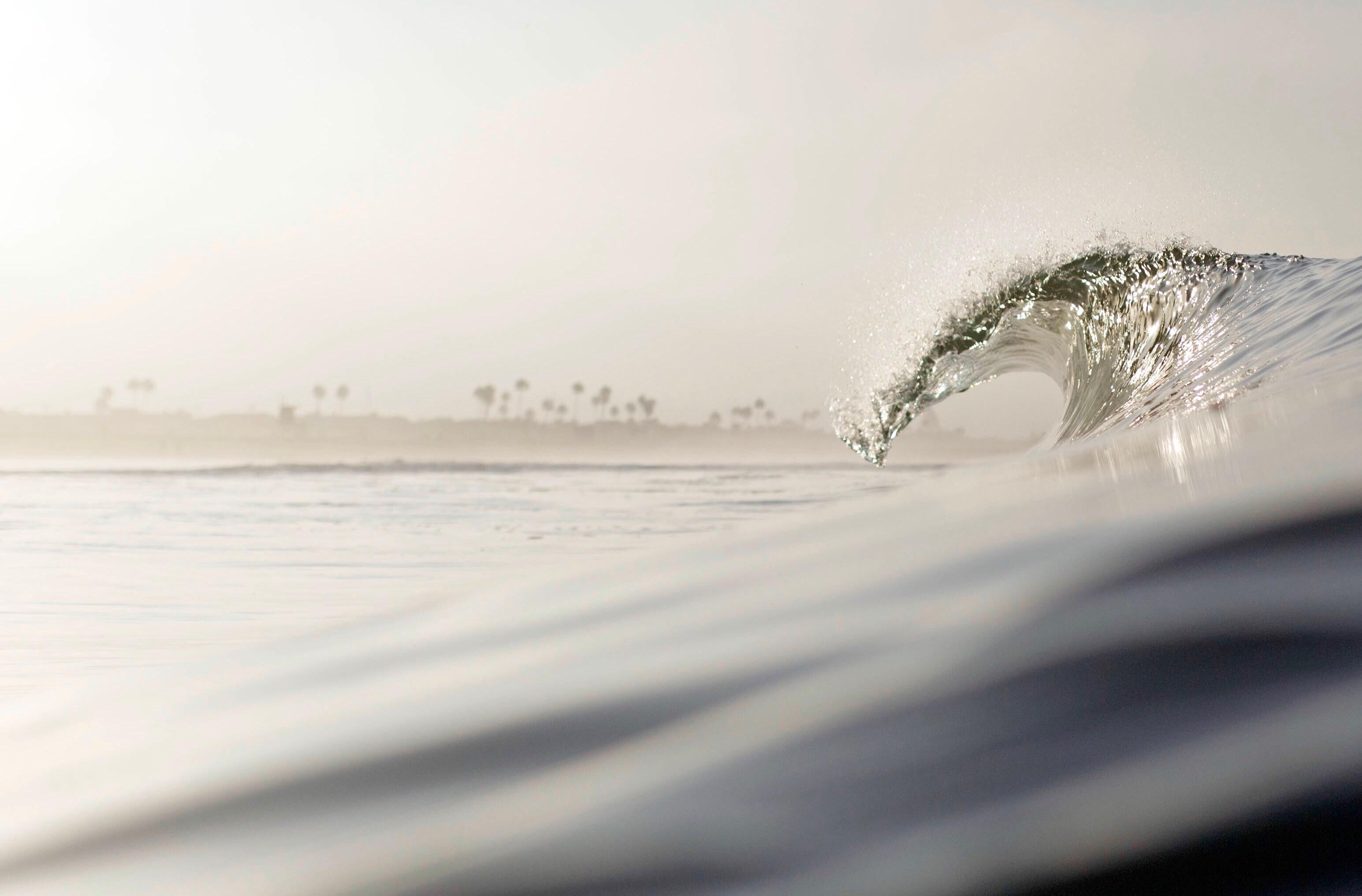 Jonathan Spector Color Photograph - Palms and Barrels, Fine Art Photography, Framed in Plexiglass, Signed 