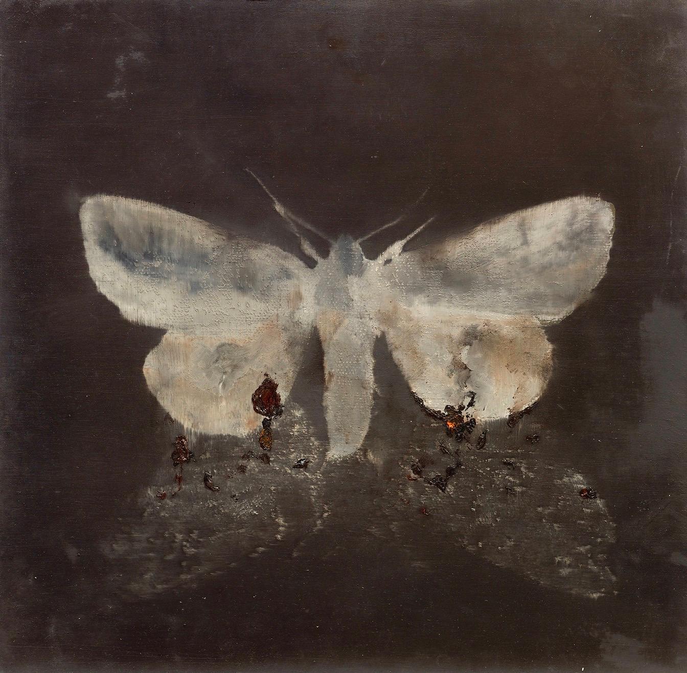 Magnus Thorén Figurative Painting - moth on moth, 2015, oil wood, figurative painting, animals, Scandinavian art