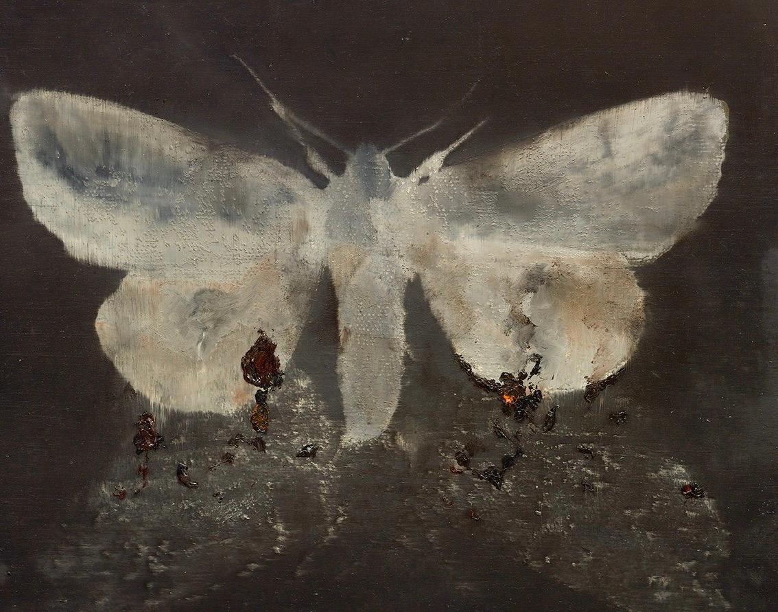 moth on moth, 2015, oil wood, figurative painting, animals, Scandinavian art - Painting by Magnus Thorén