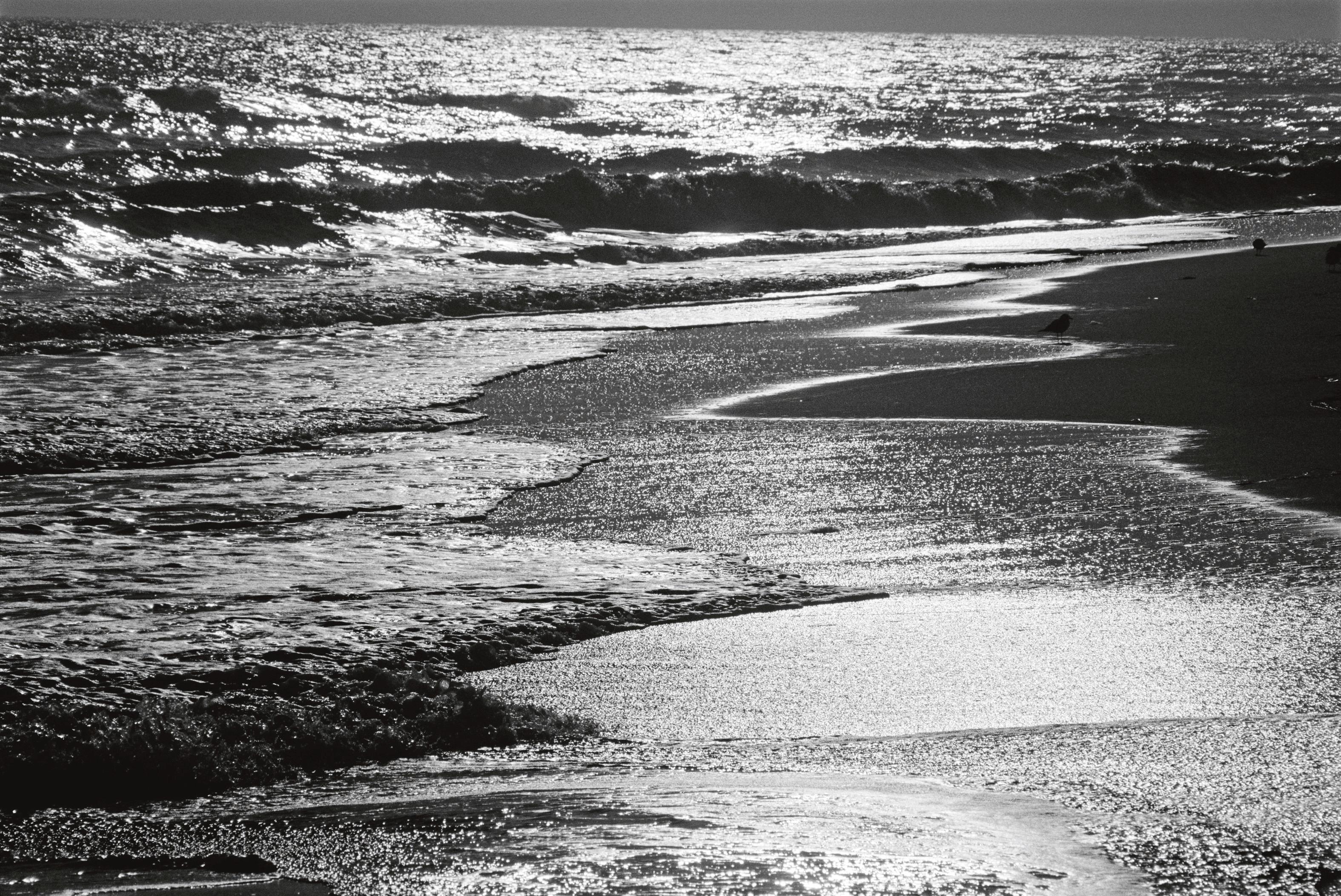 Michael Doster Black and White Photograph - San Lucia, 1989, Analog Photography, C-Print, seascape, black and white