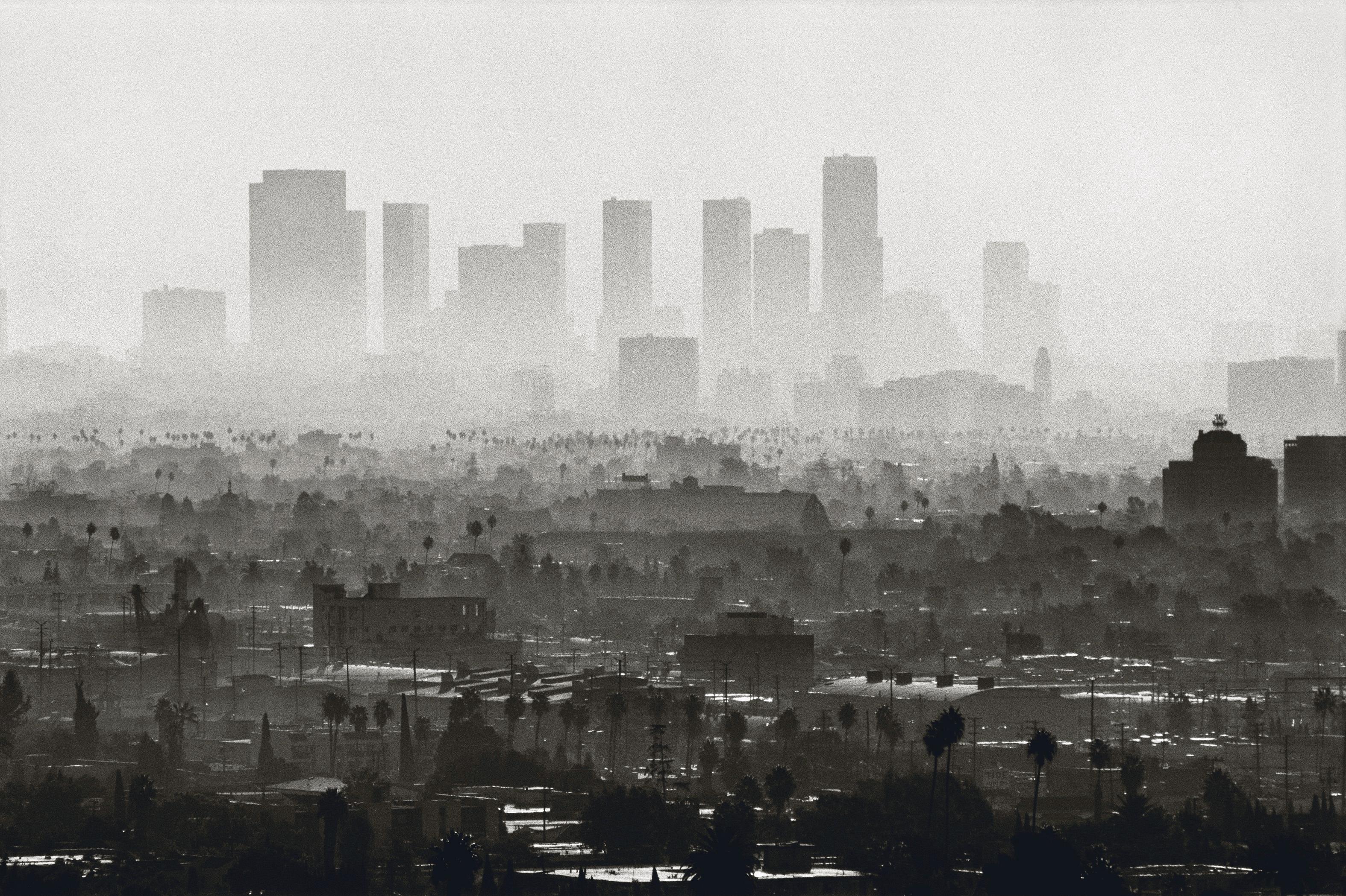 Michael Doster Black and White Photograph - Los Angeles, 1988, Analog Photography, C-Print, Landscape, black and white