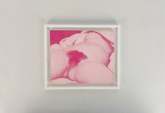 L'origine (after Gustave Courbet) dispersion and silkscreen on canvas, 2005