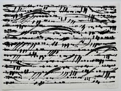 optical score, 2014, Lithography, embossed print, handmade paper, music