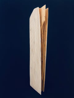 Untitled, Paulo Neves, Contemporary, Cedar wood painted and carved, White