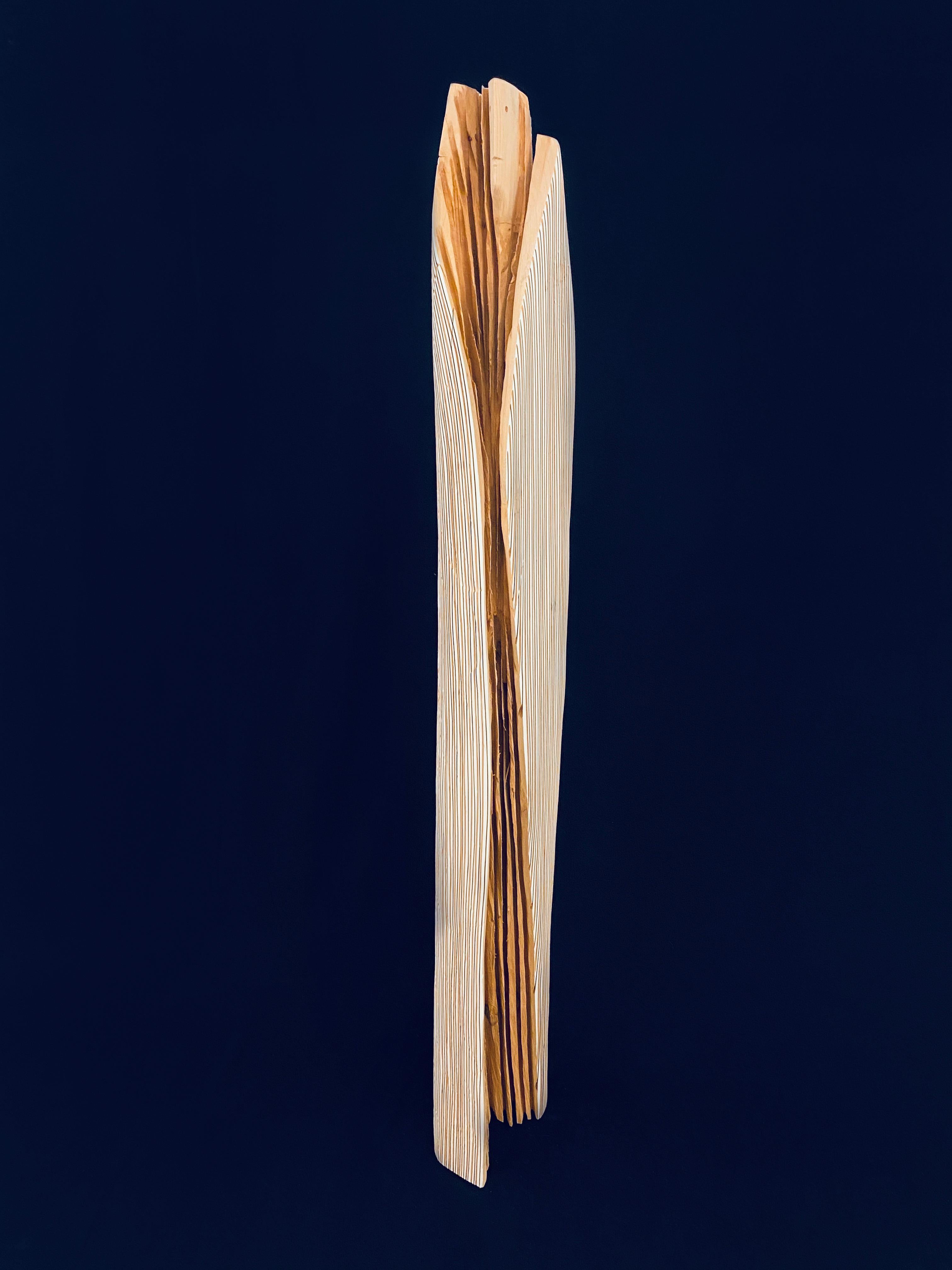 This a contemporary work by Portuguese sculptor Paulo Neves (2020), a piece made of cedar wood, carved and painted in white and brown. This work was designed to be displayed both in groups - with a set of similar sculptures (see images for example)