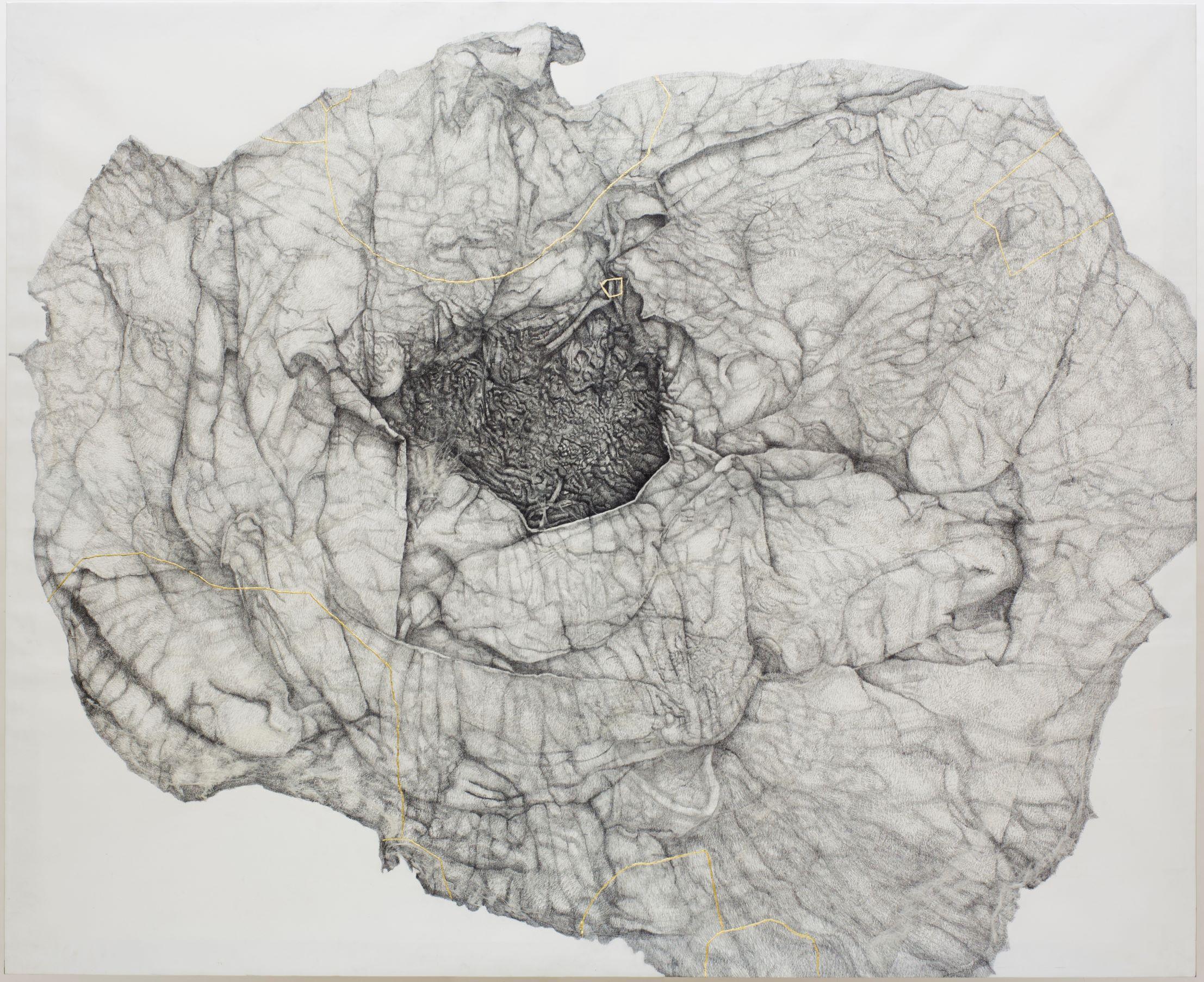 The recent series of drawings Aging / Envelhecendo is a response to the internal stimulus, one that speaks of the transformations of substance in the passage of time, with an autobiographical and observant tone. Making use of an absolute refinement
