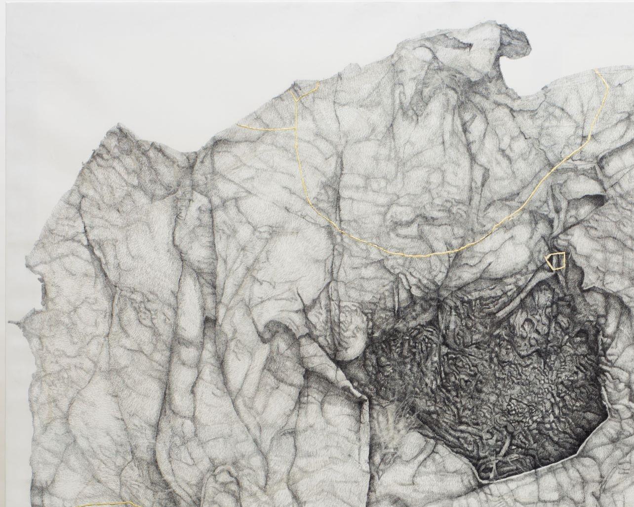Ninho, Nettie Burnett, 2020, Contemporary, Graphite and gold leaf on canvas, Grey For Sale 1