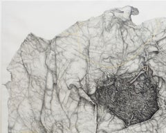 Ninho, Nettie Burnett, 2020, Contemporary, Graphite and gold leaf on canvas, Grey