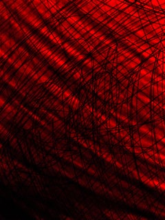 Life is a Mess Digital Print, Abstract Style, Signed, Ed. 15